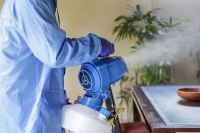 Commercial Fumigation in Katy, TX