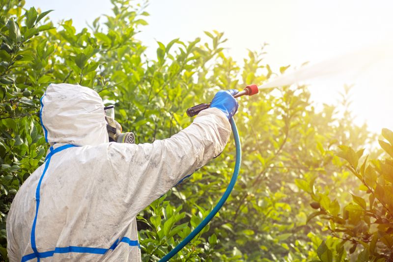 Fumigation Service in Katy, TX