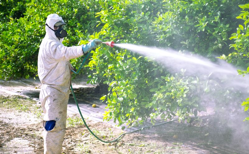 Pest Fumigation Service in Fredericksburg, VA