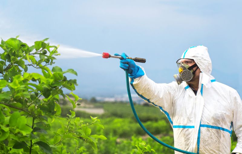 Fumigation Service in Winston Salem, NC
