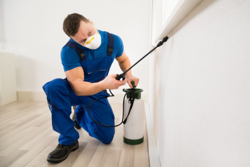 Mites Extermination in Frisco, TX