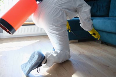 Roach Fumigation in Naperville, IL