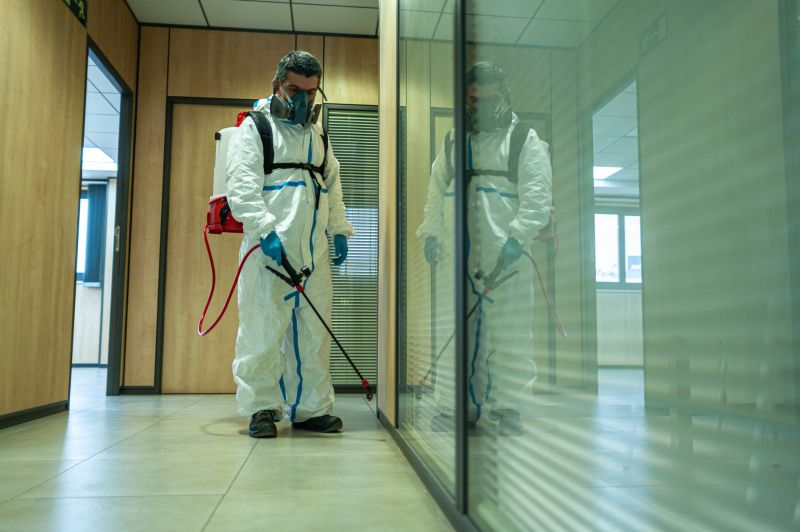Roach Fumigation in Tampa, FL