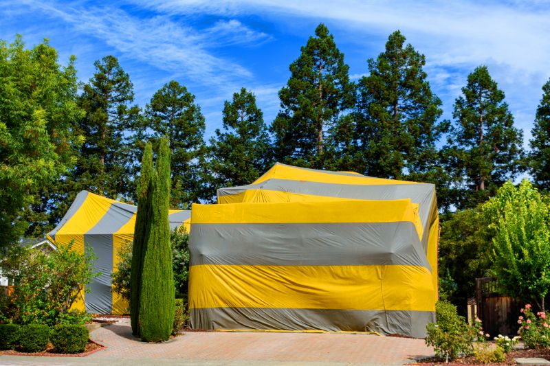 Termite Tenting in Toledo, OH